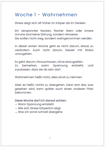 Workbook-Seite zur Wahrnehmung eigener Stressmuster und Reaktionen