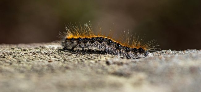 Das Außergewöhnliche im Alltag